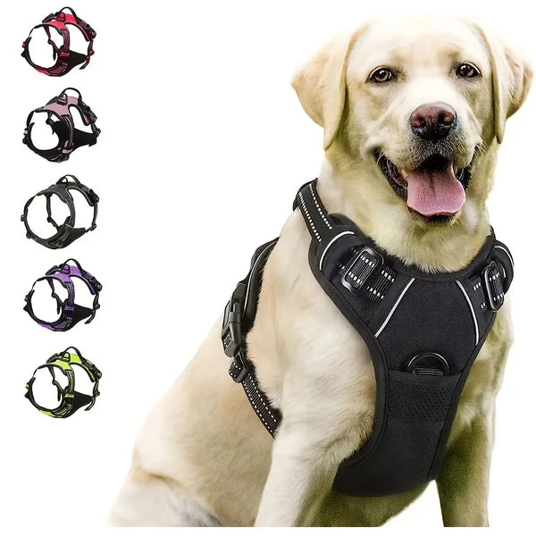 ControlFit Adventure Harness